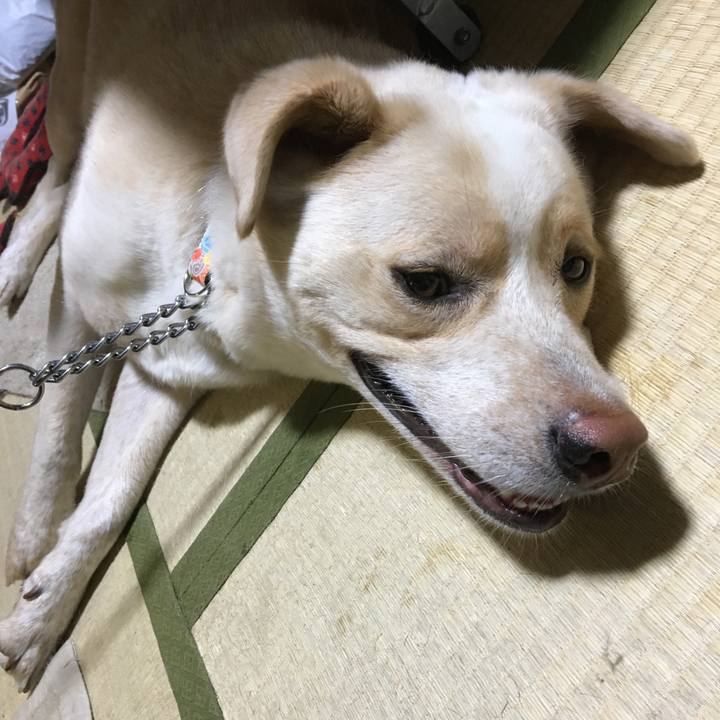 Ee37e262 4c42 41e0 9011 97ea1869e45d