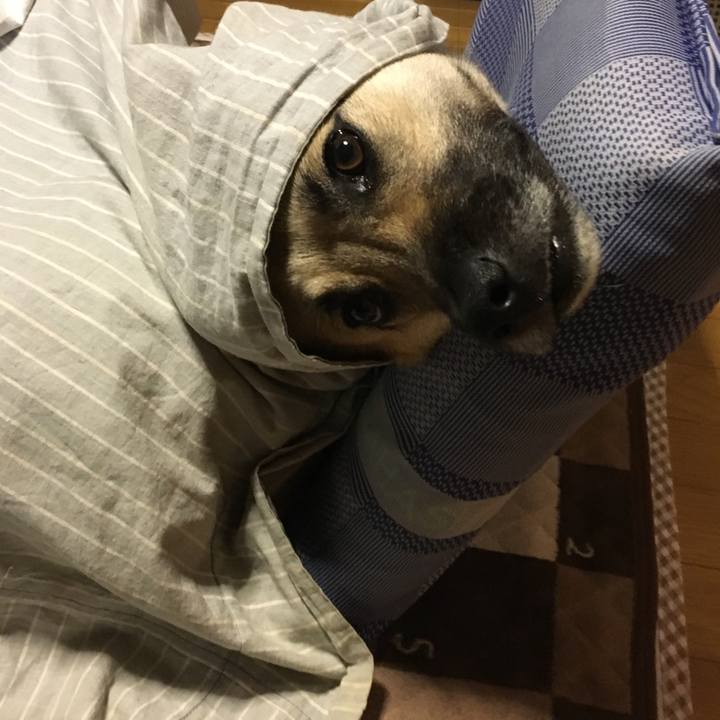 Ee38bd20 a705 4ba2 aad3 0d5db90e5727