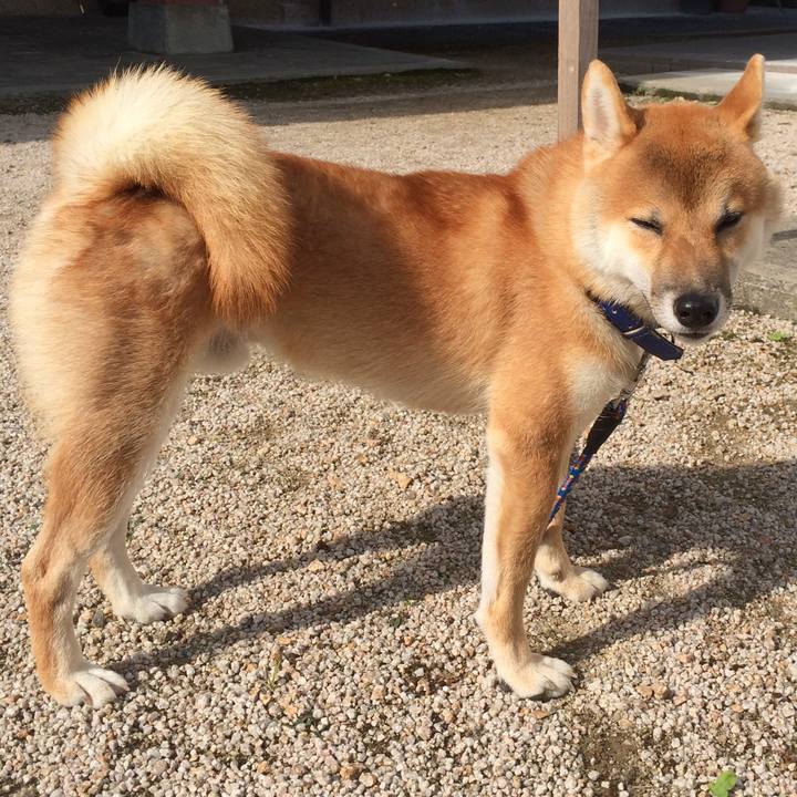 Ee38f4cc f926 4887 abe1 a48519c72cb1