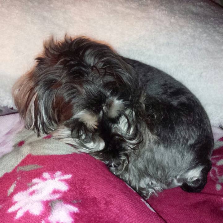 Ee392e05 9c6d 4ab1 9135 c0e7bfb6a604