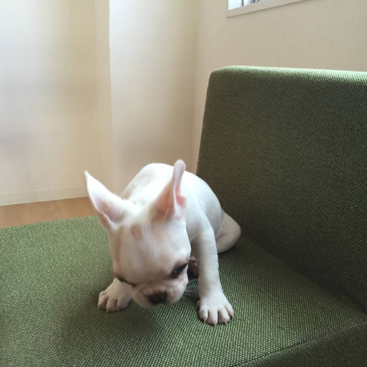 Ee39cc92 0975 4051 a9ce 84bd9d21f613