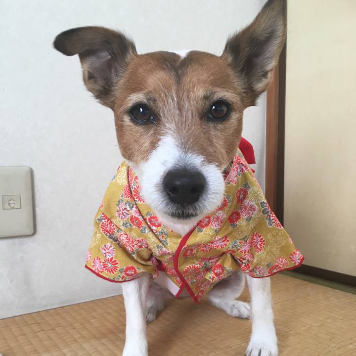 Ee39e8b3 d62f 4739 9903 f20544df5cab