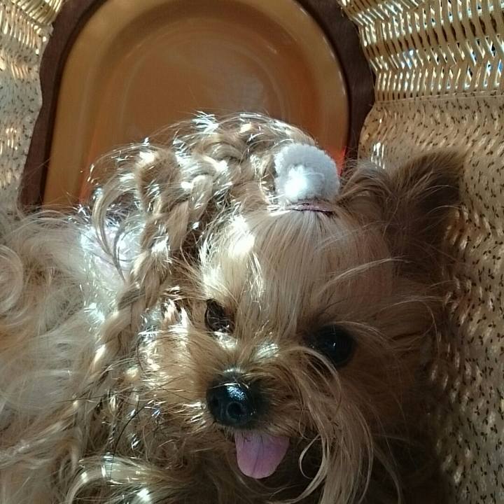 Ee3a26e1 0d02 42a6 8dd3 68bc6e8e7181