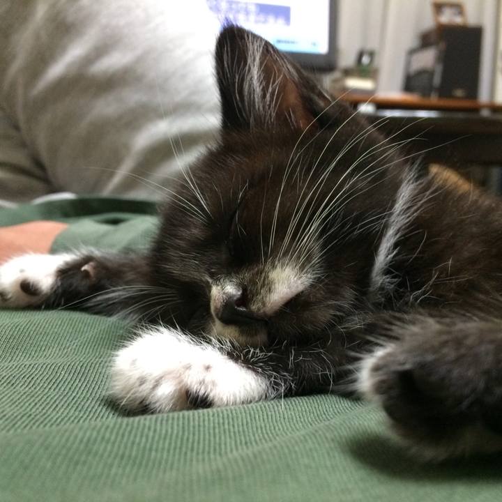 Ee3b110c 4d7e 46bc a659 0c578b3d378d