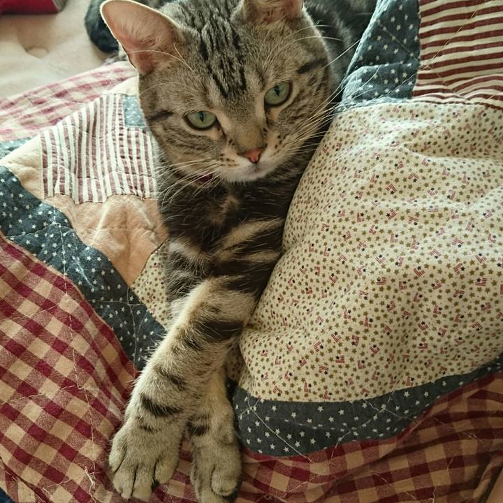 Ee3b470c 8b7b 43c4 bec3 5000667d6066