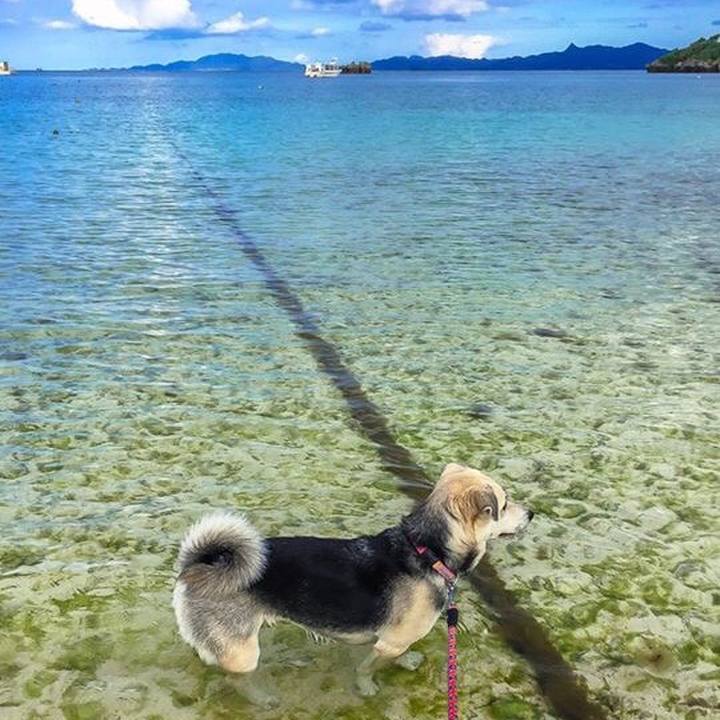 Ee3c9524 7e10 45f4 8790 0ebcfbb12588