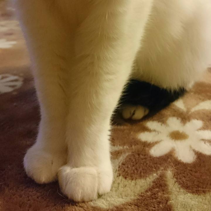 Ee3c9dd0 1337 48cf 916d 27bdd03b8a19