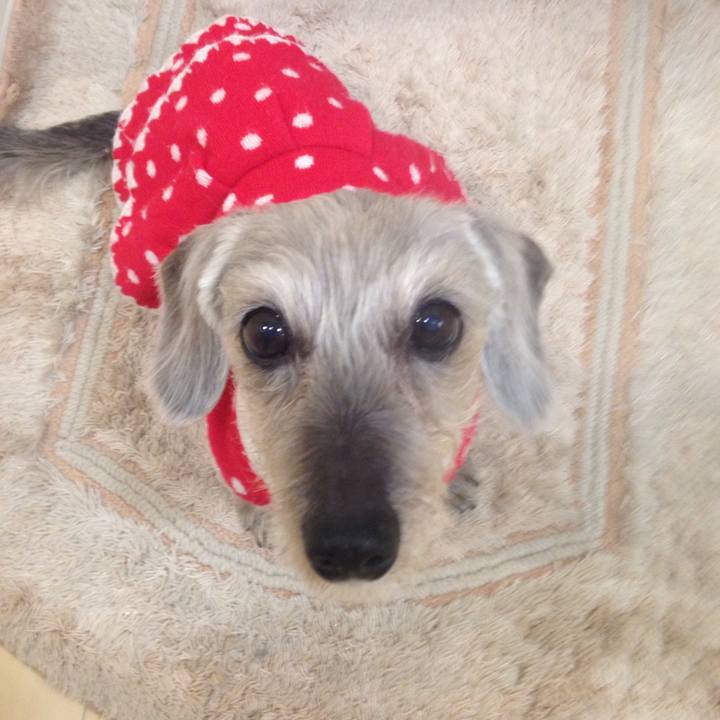 Ee3d5d93 4353 4ce8 93bd e3d9a09e9eb3