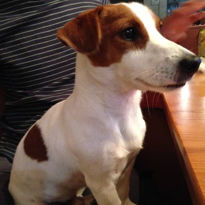 Ee3d5ebb e6b7 4e88 9986 d701d2022e3b