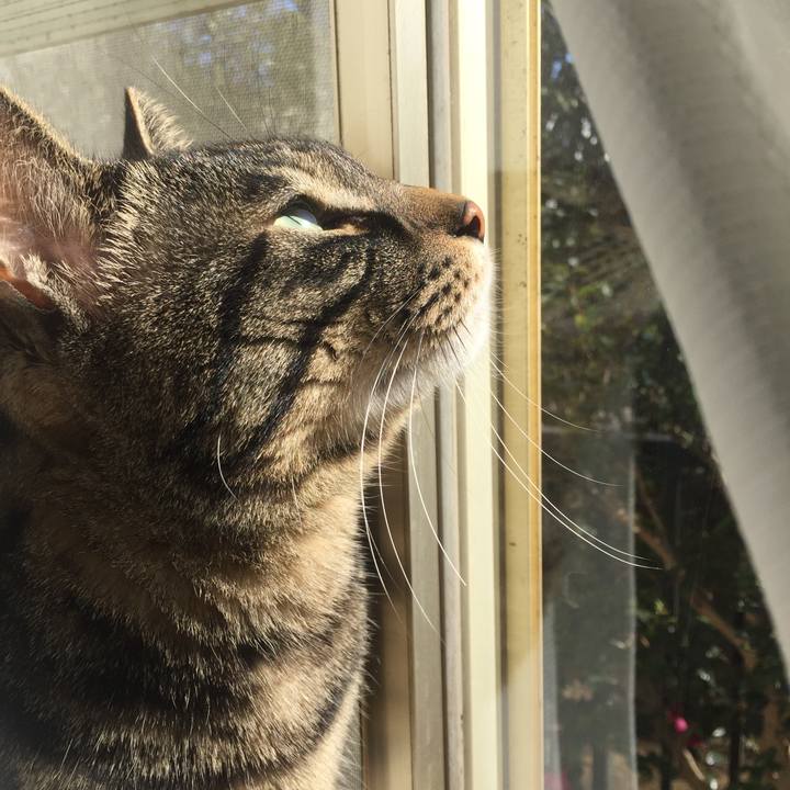 Ee3d694c 1b9d 4dce 81ce 69eb8b1e5d6f