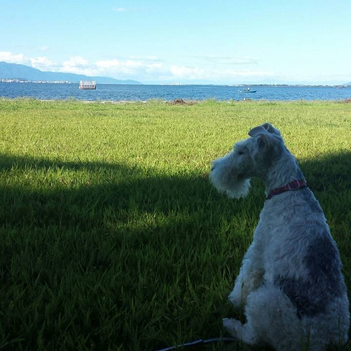 Ee3eb125 2494 4505 bce8 4929164c18f7