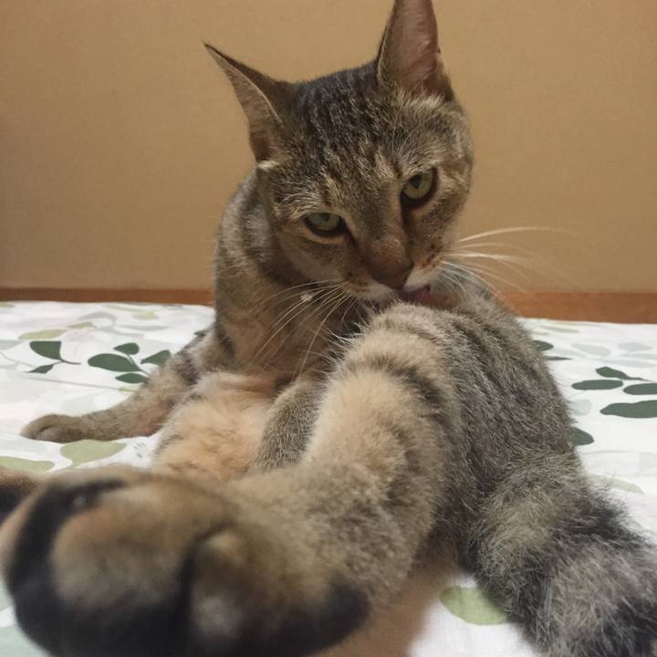 Ee3efc5b 8102 4faf 902e e7bec741f49e