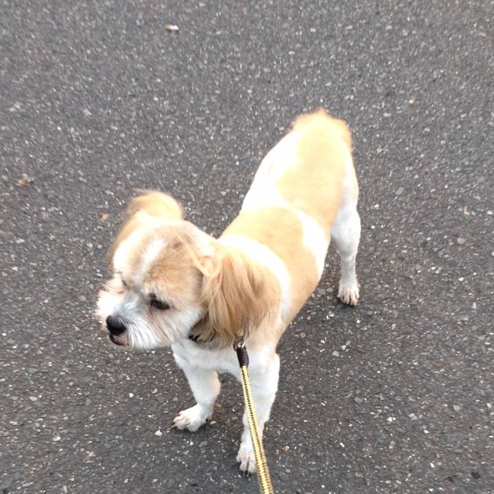 Ee3f0d54 61e2 4f38 9ab7 61eb1bd29b79