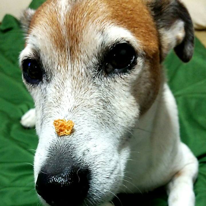 Ee402d2f 309f 43ea 8c52 bf59cde62d43