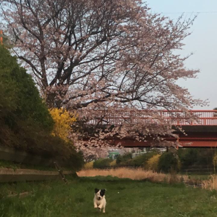 Ee4035fd 9dec 4075 a6de b4262a3bb429