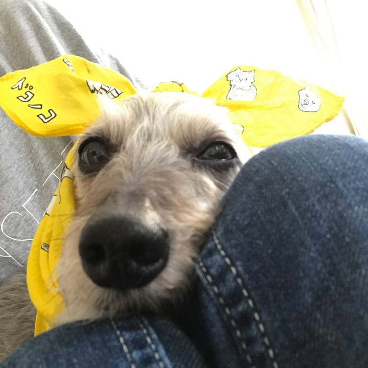 Ee405cf1 b6ba 4020 8905 02beae1eda71