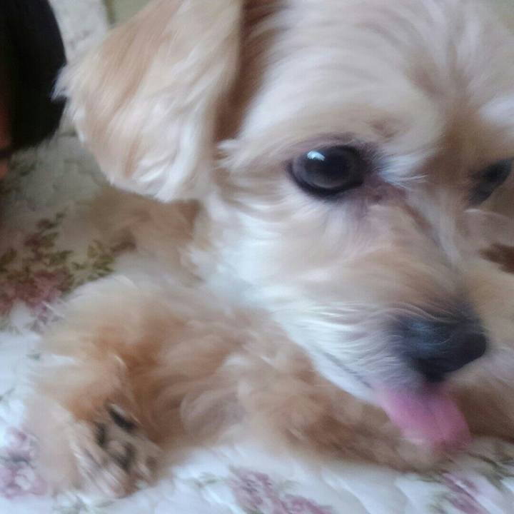 Ee41466b 0e11 4426 94c1 8bfcb7afa874