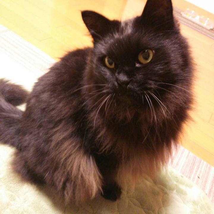 Ee417c54 a35d 4ce3 9f48 2d2bf04f3e72