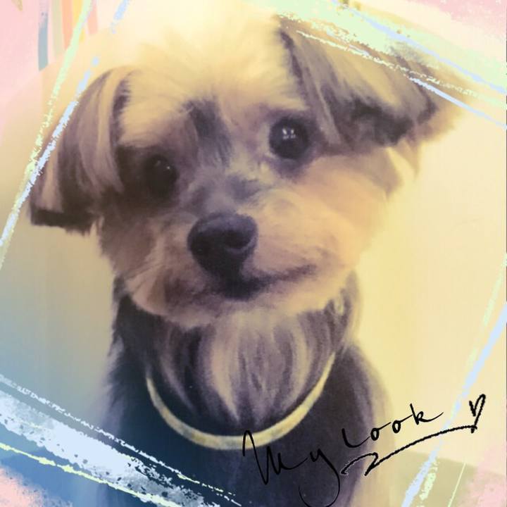 Ee4238df 1864 445c 8932 d84ee25dd72e