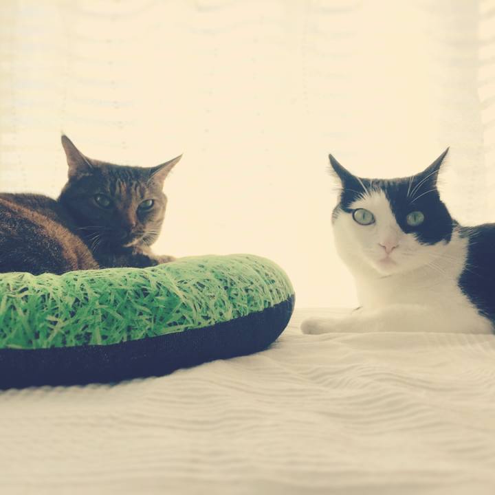 Ee4274fa 6fcf 4b69 a356 512331184c9b