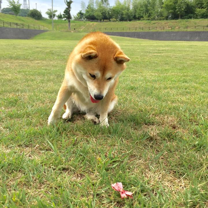 Ee42d301 9170 4723 83ca 3618a635f7e7