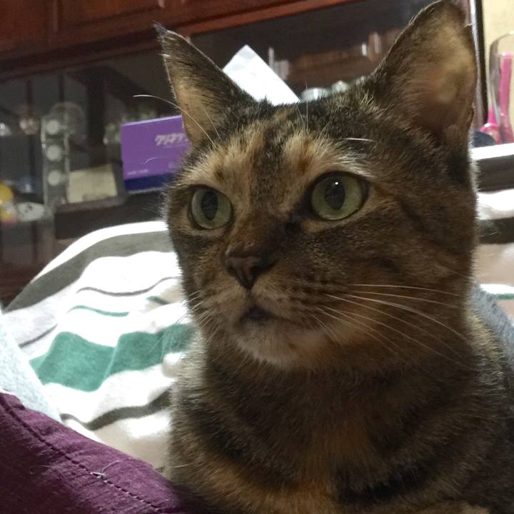 Ee438509 fcfe 4fd2 8baf 03b22340005e