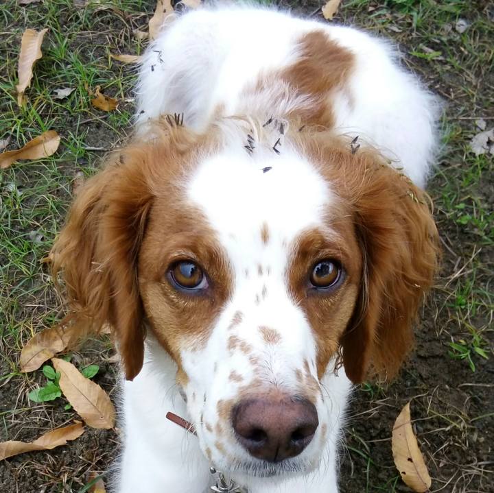 Ee43f154 8e1f 4397 ab58 a551c7792d1c