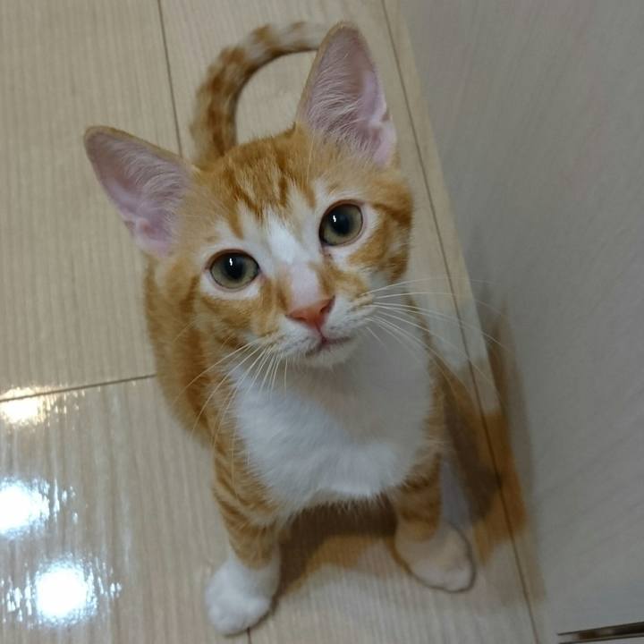 Ee44a9b7 0795 490f bb03 8387114420bb