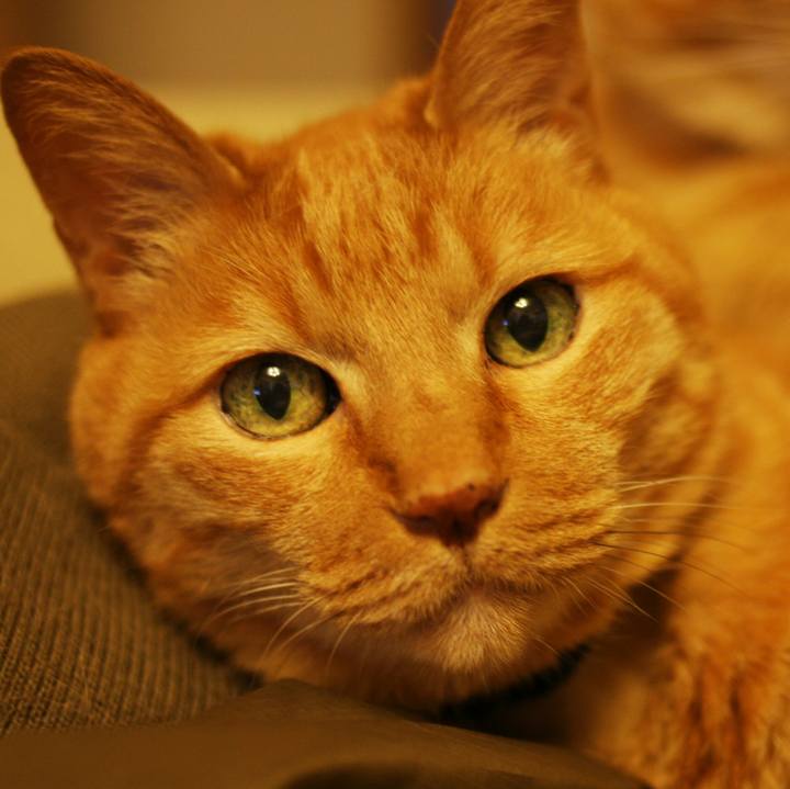 Ee4580af 914c 41ad 87c6 0db60523e313