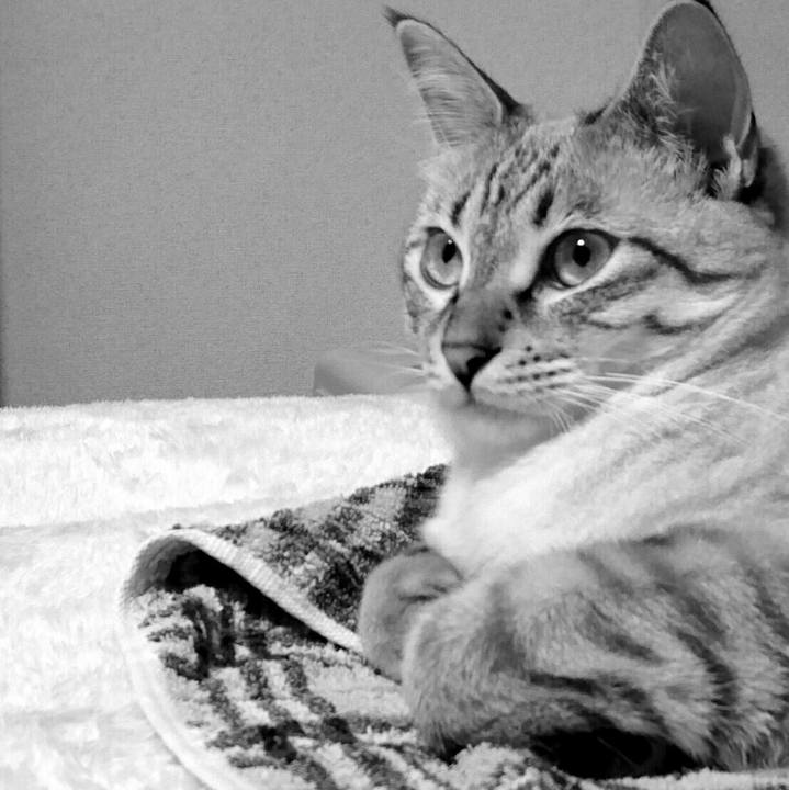 Ee4581d0 f9ef 40ee 90c0 4cafea00687a