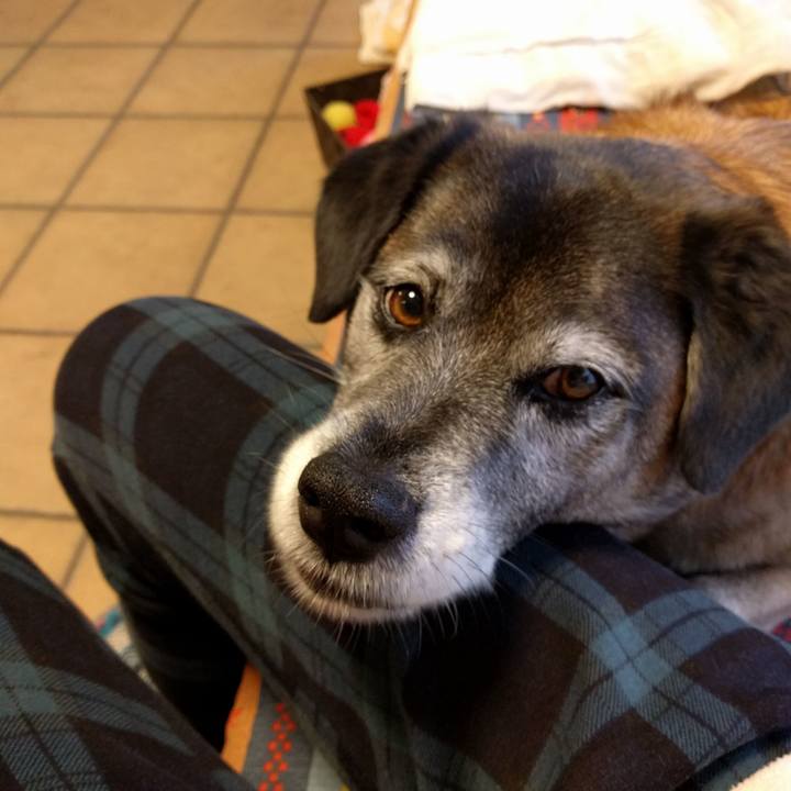 Ee469ecf dae4 48ba 8a84 3113f721ab35