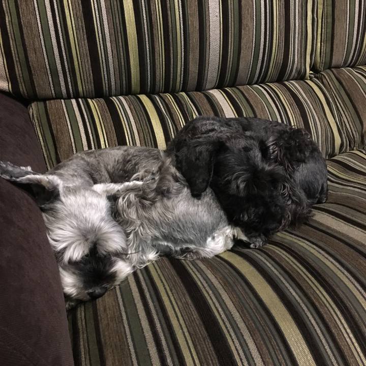 Ee46d97a 8bc0 49d5 b05e 89b71e1aec37