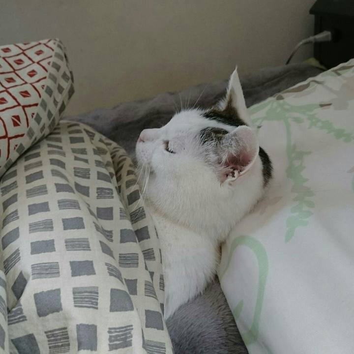 Ee4748c1 3996 4ffe 82bb 5df389e50efd