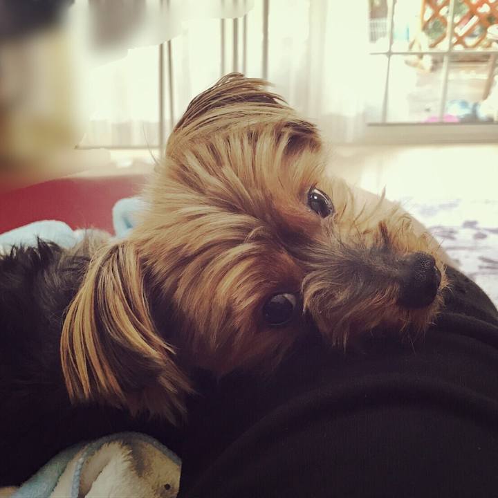 Ee477c1c 87f6 4ab7 894d e66af8a5dc1d