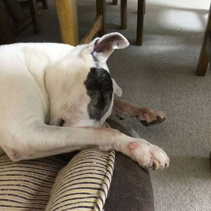 Ee47ba3e fdc3 4938 868c 1f1869f43d5c