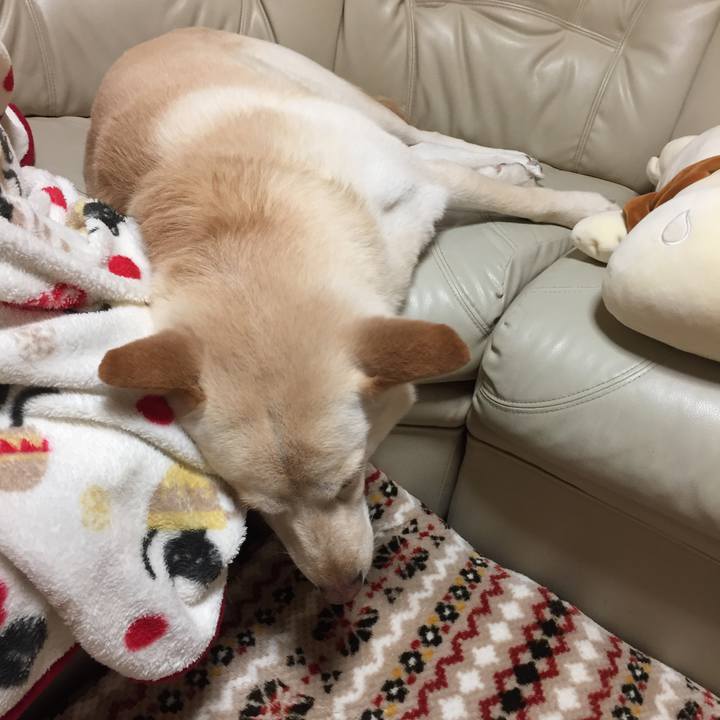 Ee481dd9 d354 431d b3ea fa15cdf5c8cc