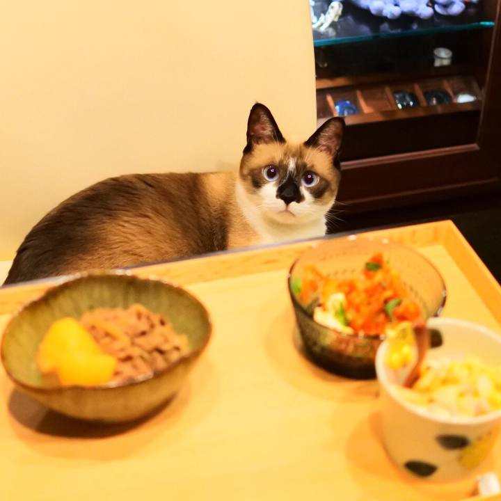 Ee494401 ab2c 4b06 bfcc 4fead8ac8166