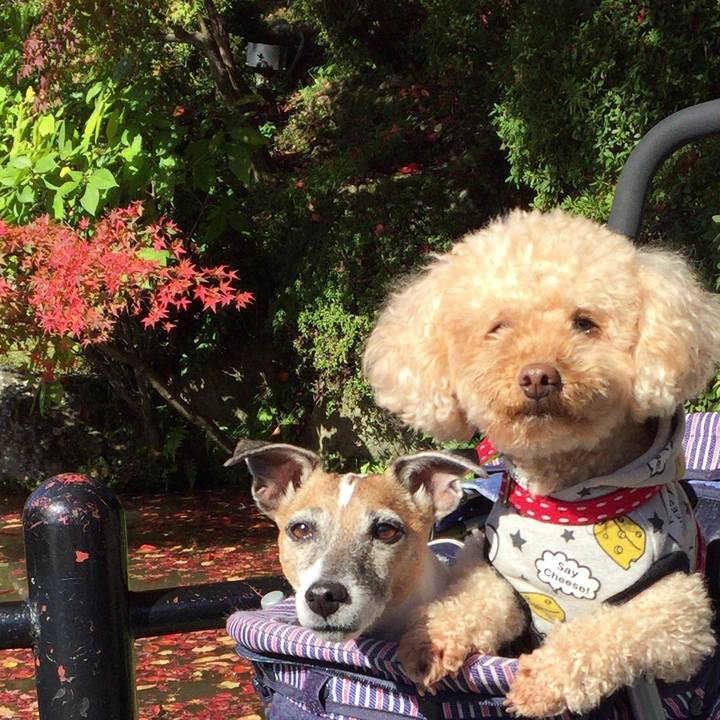 Ee494eee 543e 463f 8b84 7a2024c86efb