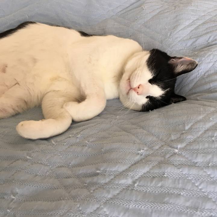 Ee4a4bfc f531 4e9f 8c83 4664f945c4e7