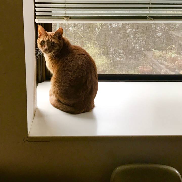 Ee4a6c76 88c5 4958 93d7 5f09a46add93