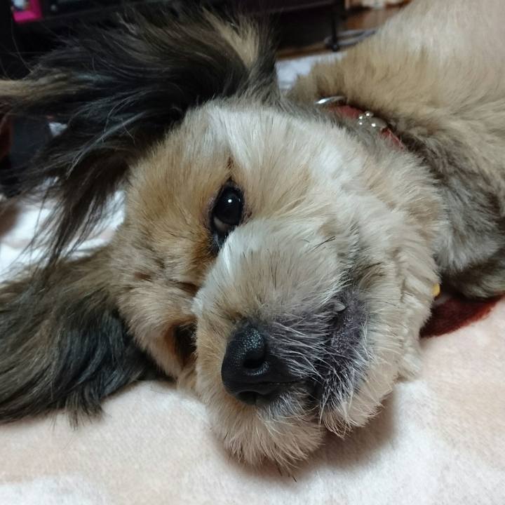 Ee4a9092 a15c 4000 8939 a21812c058ab