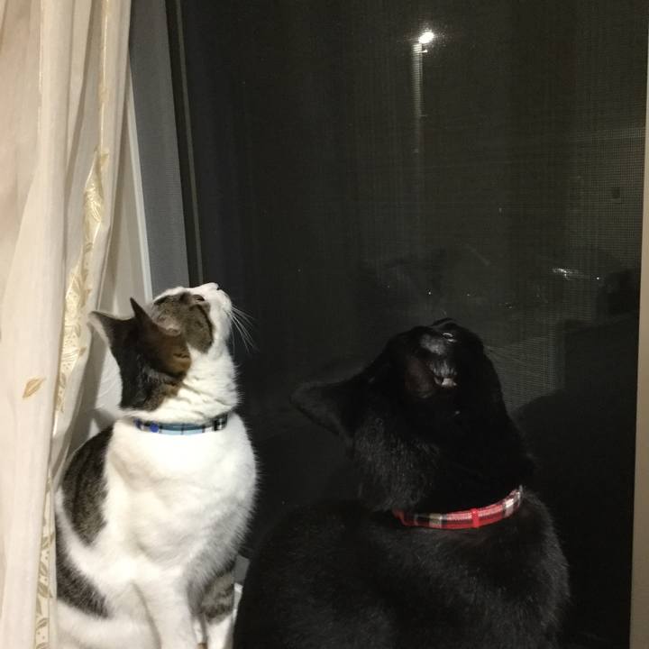 Ee4ad346 cad6 44df bb45 04f2e11aab50