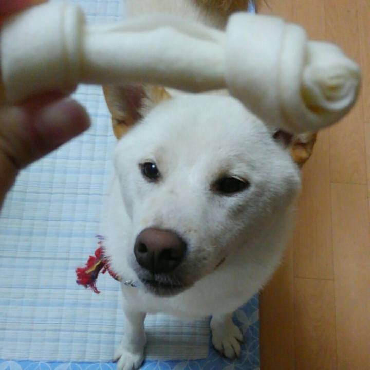 Ee4b0f6a 96e5 49c2 834c ea5cfe6dc894