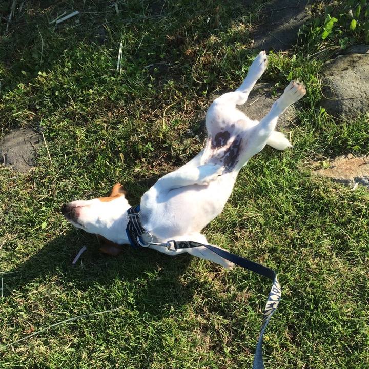 Ee4b1978 04a1 4c80 8946 eb7d5db972f1