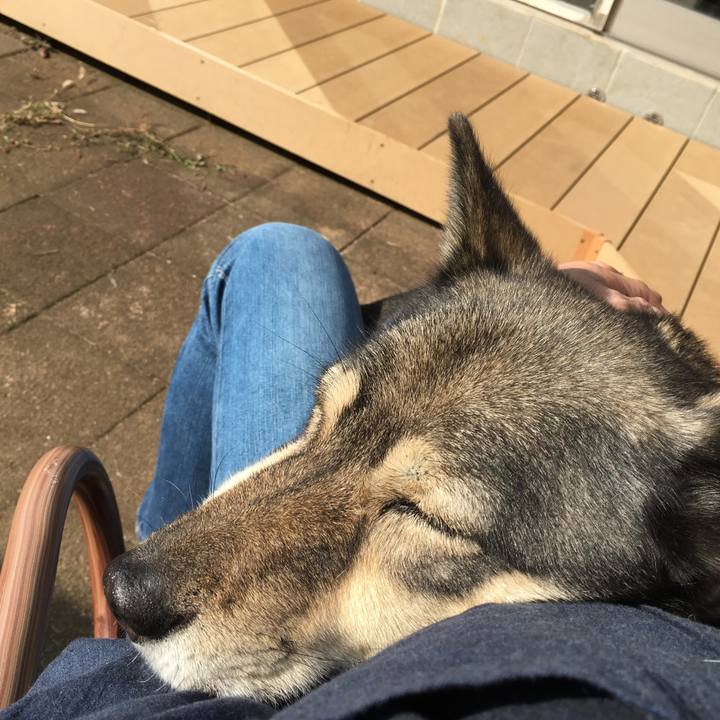 Ee4b37b1 46b2 4167 bae5 8a4c1a65cee1