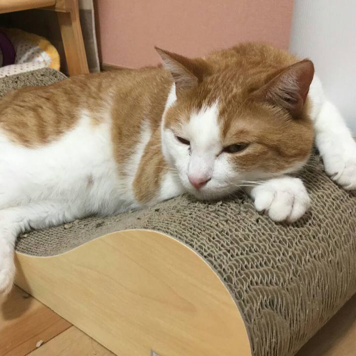 Ee4b4879 5479 4212 a98e cd2bb13670e1