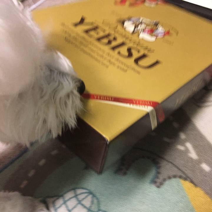 Ee4b6fe0 991b 45d3 9cdf b3f8104668fc