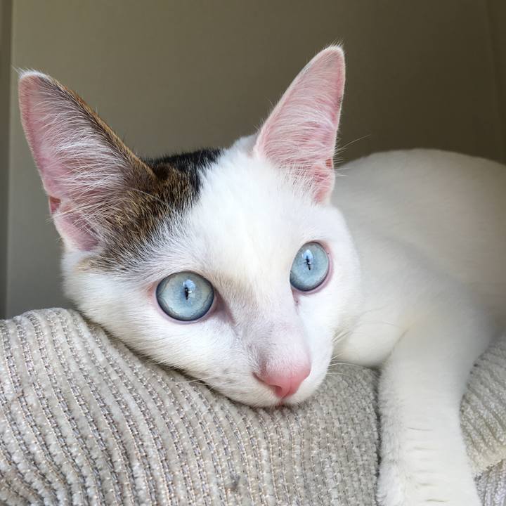 Ee4cc931 5f12 4729 bb92 6a59c1c50054