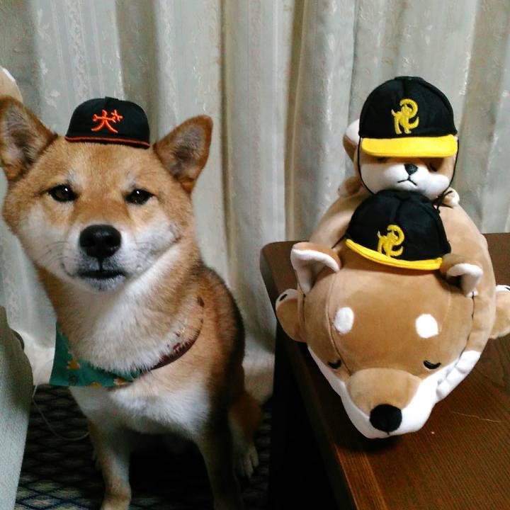 Ee4d2972 c700 45f3 8378 9dcbe94723df