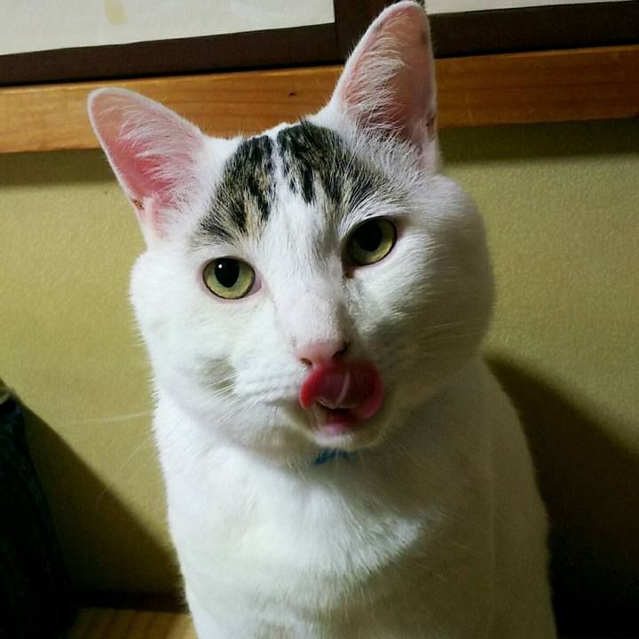 Ee4d8f55 0b66 4048 bacd 3dc594627fe2